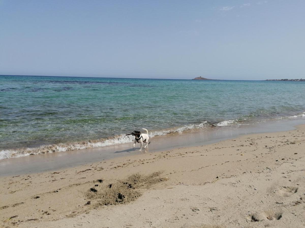 Villa Nonna Nina Capaci Buitenkant foto